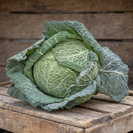 Savoy Perfection, Cabbage Seeds - Packet image number null
